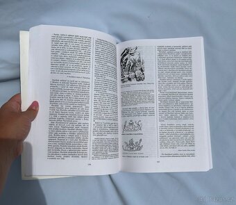 Přehledné dějiny literatury 1 – Bohuš Balajka – výborný stav - 2