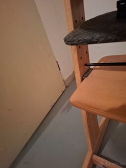 Zopa rostouci  zidle drevo - 2