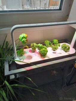 Chytrý květináč - 2