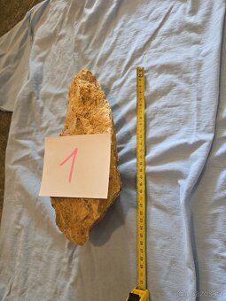 Zkamenělé dřevo do akvária - 2