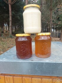 Domácí med přímo od včelaře - 2
