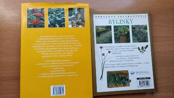 Bylinky - 2