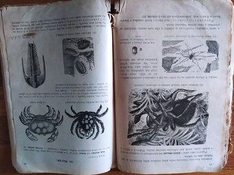 Starožitná učebnice - 2