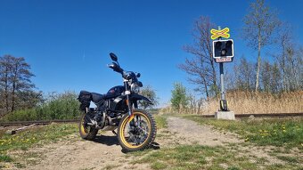 DUCATI 800 SCRAMBLER DESERT SLED - 2