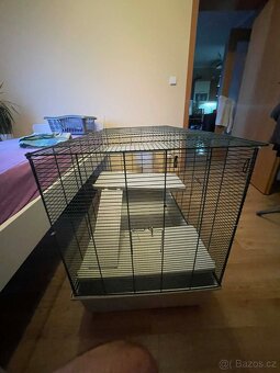Velká klec - 2