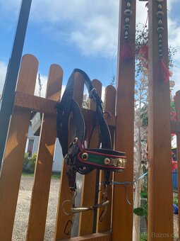 Prodám formanskou ohlávku s udidlem - 2