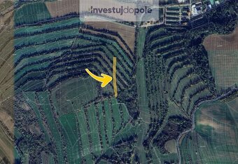 Prodej ovocného sadu v k.ú. Boršice u Buchlovic - 2