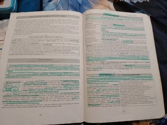 Literatura 19 a počátek 20 století - 2
