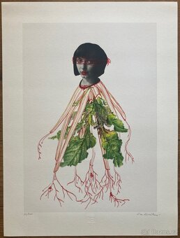 Eva Koťátková - Replanted - 2