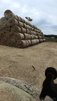 Sláma, kulaté balíky slámy - 2