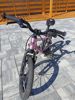 Rascal 16 Raspberry - 2