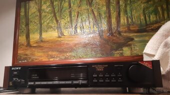SONY ST S730ES - 2