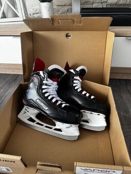 Brusle Bauer Vapor( 37,5) - 2