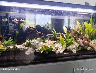 Prodam jomplet akvarium 240 L - 2