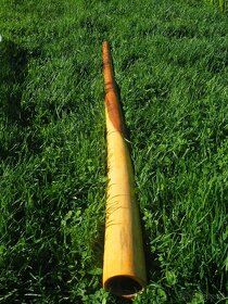 Didgeridoo EUKALYPTUS - NOVE - 2