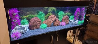 Prodám akvarijní set Diversa 375l s příslušenstvím - 2