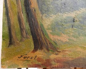 Fürst Jindřich (1873-1943)-Krajina s hradem - 2