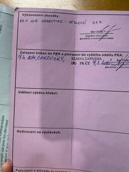 Klisna ČT - 2