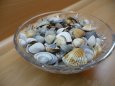 Mix mušlí a mušliček - 5 kg, dekorace, tvoření - 2