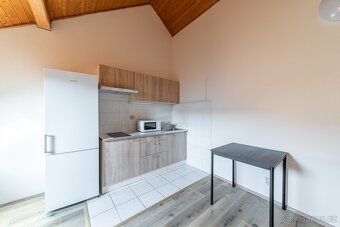 Кімната для сімейної пари в Žižkov. - 2