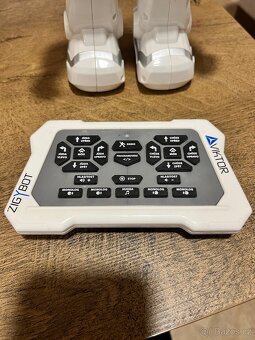 Zigybot robot Viktor - 2