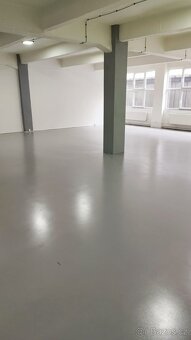 PRONÁJEM OBCHODNÍCH PROSTOR - 2