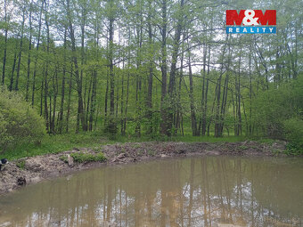 Prodej louky, 6962 m², Kořenov - 2