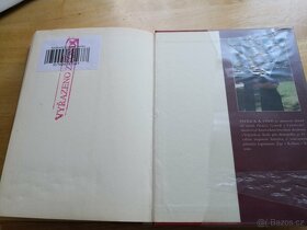 Velitel - Patrick A. Davis - 2