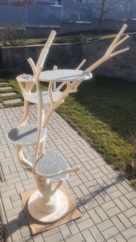 Kocici strom v bile lazure - skrabadlo - 2