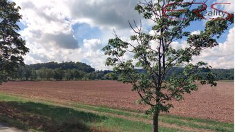 Zemědělská půda, 16 112 m2 - Rovensko pod Troskami, Ktová, H - 2