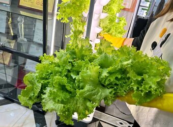 Hydroponická věž 4P6 s LED osvětlením - 2