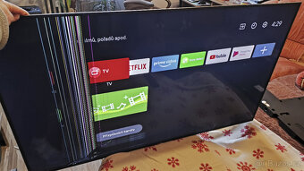 SONY Bravia KD-55XE9005 - 2