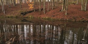 LÁNSKÁ OBORA V PROMĚNÁCH ČASU - 2