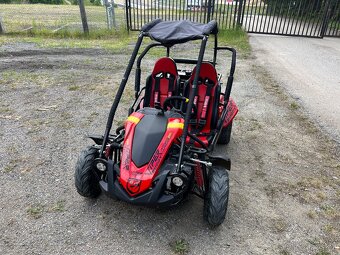 Viper Buggy - 2