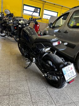 Benelli leoncino 500 - 2