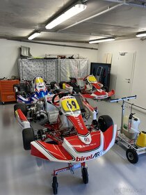 MOTOKÁRA BIREL ART ROTAX DD2 - 2