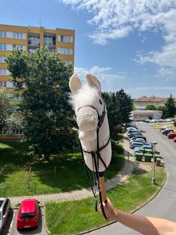 Hobby Horse - 2
