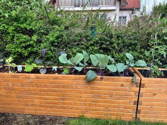 Vyvýšený záhon - 2