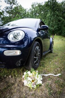 VW New Beetle 1.4, 55kw, 2003 - 2