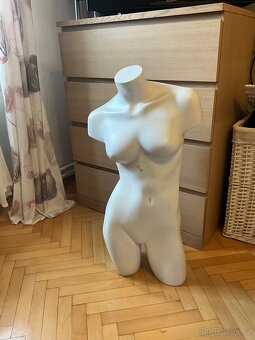 Plastové dámské torzo 3/4 těla - 2
