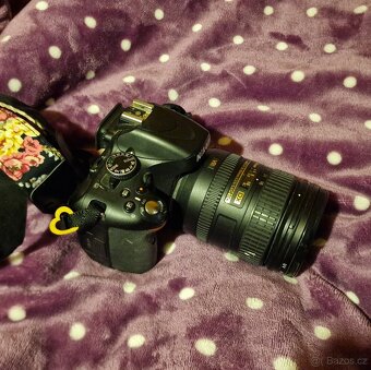 Nikon D5100 + 16-85 VR - 2