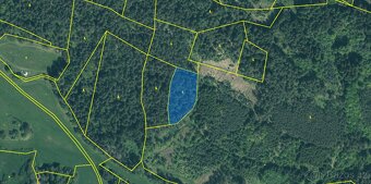 Prodej lesa 3910 m2 - Strakonice - 2