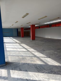 Pronájem komerčních prostor - 2