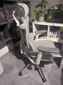 Kancelářská židle Sihoo Doro C300 - 2