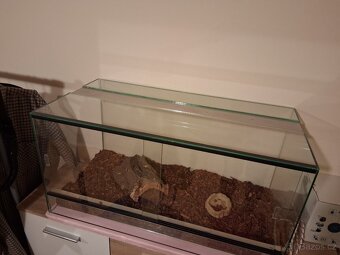 Terárium 80x40x40cm - 2