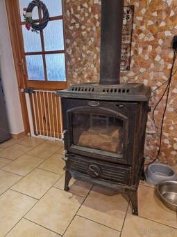 Kamna Horse Flame 317 - 2