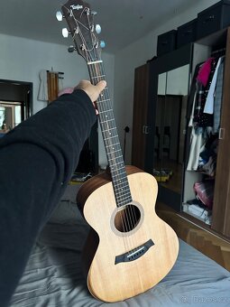 Guitar Taylor / - 2