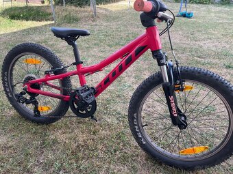 Scott Contessa 20 - 2