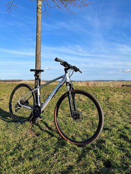 Trekingove kolo Trek Dual Sport - 2