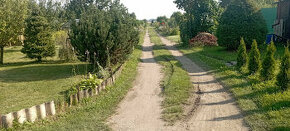 Prodej zahrádky - 2